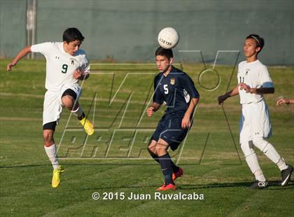 Thumbnail 3 in Damien vs Los Osos photogallery.