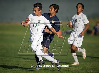 Thumbnail 2 in Damien vs Los Osos photogallery.