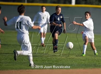 Thumbnail 3 in Damien vs Los Osos photogallery.
