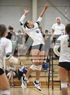 Photo from the gallery "St. Petersburg Catholic @ Saint Stephen's Episcopal"