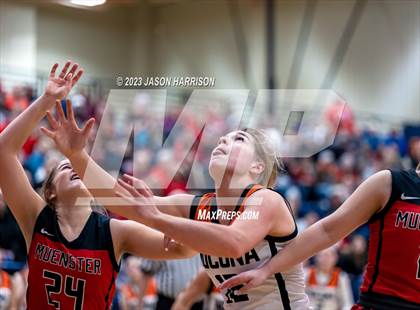 Thumbnail 1 in Nocona vs. Muenster photogallery.