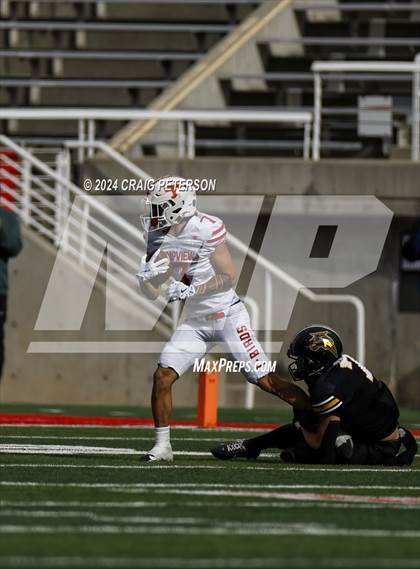 Thumbnail 1 in Timpview vs Roy (UHSAA 5A Semifinal) photogallery.
