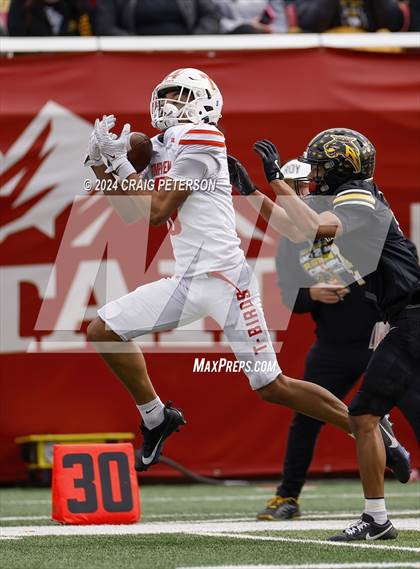 Thumbnail 3 in Timpview vs Roy (UHSAA 5A Semifinal) photogallery.