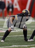 Photo from the gallery "Timpview vs Roy (UHSAA 5A Semifinal)"