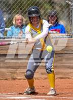 Photo from the gallery "Mineral County @ Smith Valley"