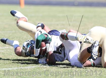 Thumbnail 1 in Briarcrest Christian @ Arlington photogallery.