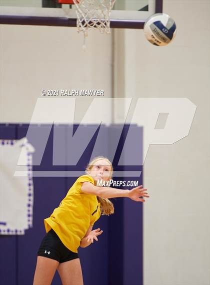 Thumbnail 1 in Navarro @ Boerne photogallery.