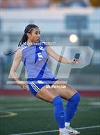 Photo from the gallery "Palos Verdes @ Culver City"