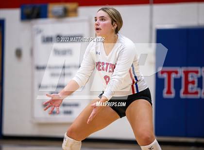 Thumbnail 1 in Western Harnett @ Terry Sanford photogallery.