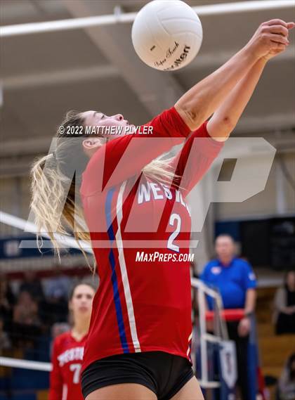 Thumbnail 3 in Western Harnett @ Terry Sanford photogallery.