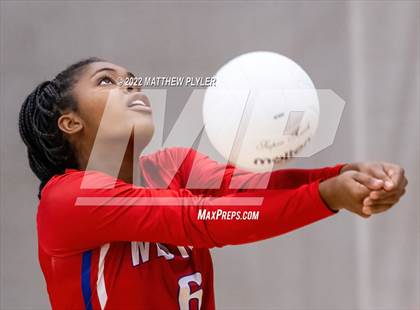 Thumbnail 3 in Western Harnett @ Terry Sanford photogallery.