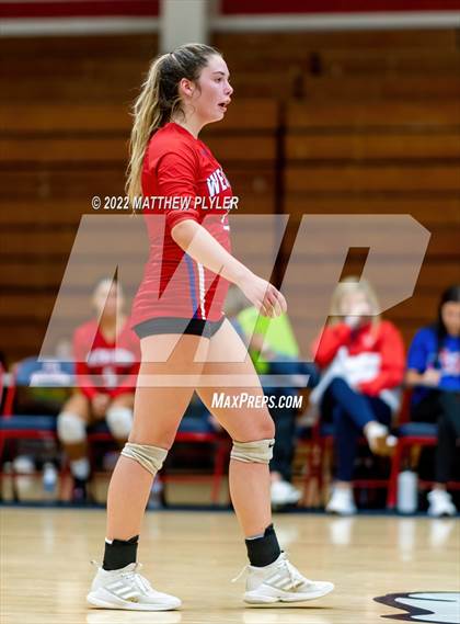 Thumbnail 3 in Western Harnett @ Terry Sanford photogallery.