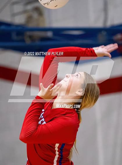 Thumbnail 1 in Western Harnett @ Terry Sanford photogallery.