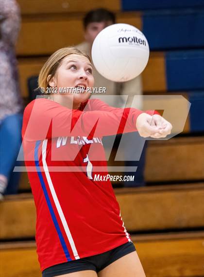 Thumbnail 1 in Western Harnett @ Terry Sanford photogallery.