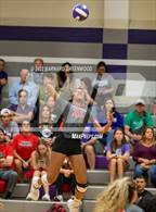 Photo from the gallery "Fort Bend Travis @ Ridge Point"