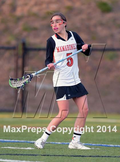 Thumbnail 1 in Pelham Memorial @ Mamaroneck photogallery.