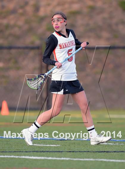 Thumbnail 3 in Pelham Memorial @ Mamaroneck photogallery.