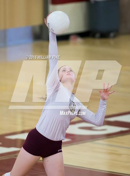Thumbnail 2 in Pine Bush @ Kingston photogallery.