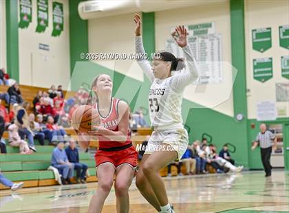 Thumbnail 1 in Daleville vs. Wapahani (Delaware County Tournament) photogallery.