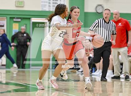 Thumbnail 1 in Daleville vs. Wapahani (Delaware County Tournament) photogallery.
