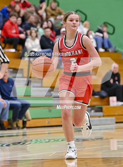 Thumbnail 1 in Daleville vs. Wapahani (Delaware County Tournament) photogallery.