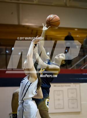 Fitzgerald @ Sterling Heights Stevenson