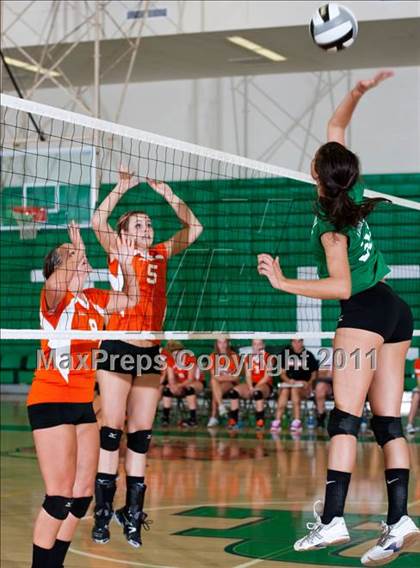 Thumbnail 2 in Beech Grove @ Triton Central photogallery.