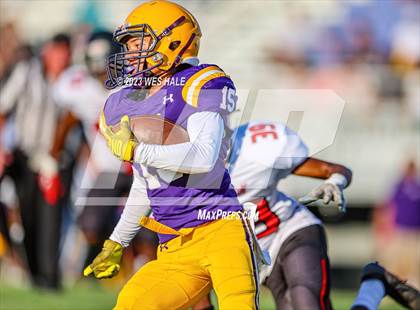 Thumbnail 3 in Center Hill @ Desoto Central photogallery.