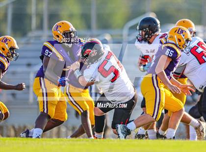Thumbnail 3 in Center Hill @ Desoto Central photogallery.