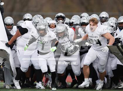 Thumbnail 2 in Harrisburg @ Wilson (PIAA 6A Round 4)  photogallery.