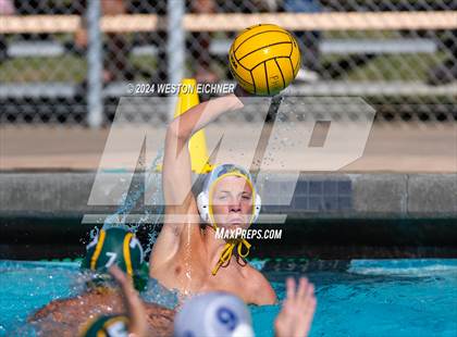 Thumbnail 1 in Grossmont @ Patrick Henry photogallery.