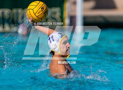 Thumbnail 1 in Grossmont @ Patrick Henry photogallery.