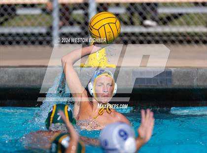 Thumbnail 3 in Grossmont @ Patrick Henry photogallery.