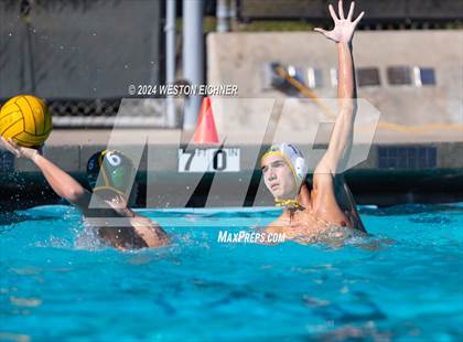 Thumbnail 1 in Grossmont @ Patrick Henry photogallery.