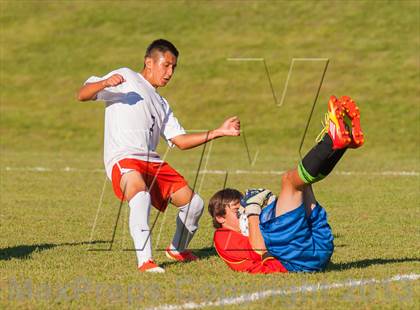 Thumbnail 2 in Putnam Valley @ Pawling photogallery.