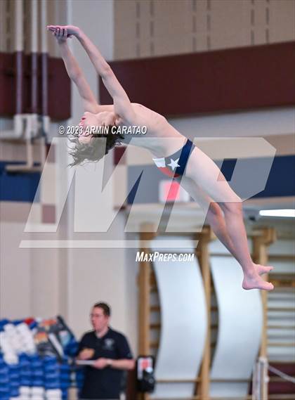 Thumbnail 1 in UIL Region IV-6A Boys Diving Finals photogallery.