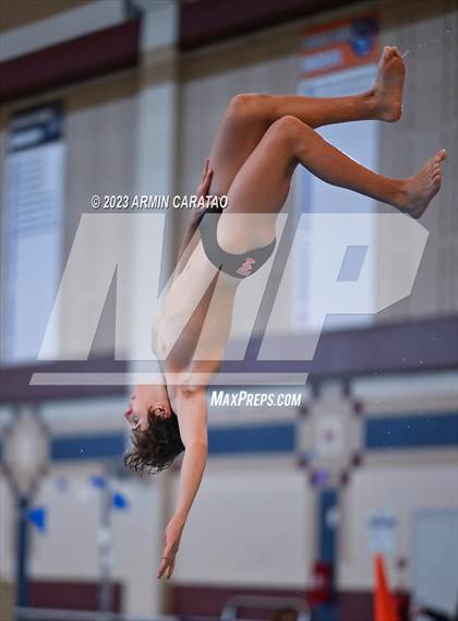 Thumbnail 1 in UIL Region IV-6A Boys Diving Finals photogallery.