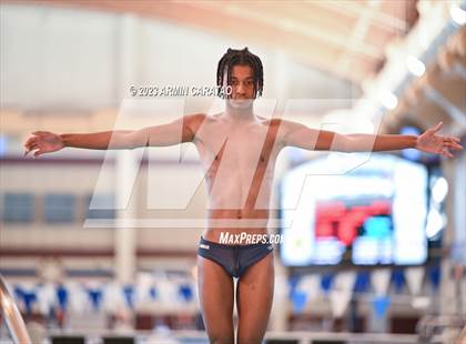 Thumbnail 1 in UIL Region IV-6A Boys Diving Finals photogallery.