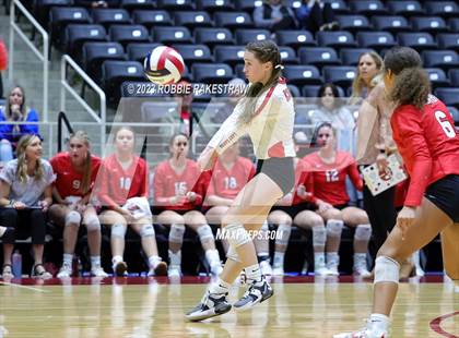 Thumbnail 3 in Columbus vs. Gunter (UIL 3A Volleyball Semifinal) photogallery.
