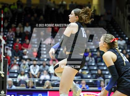 Thumbnail 2 in Columbus vs. Gunter (UIL 3A Volleyball Semifinal) photogallery.