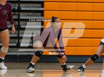 Thumbnail 1 in Glenbrook North vs. Champaign Central photogallery.