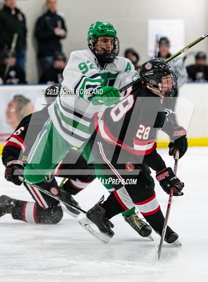 Thumbnail 1 in New Trier (Green) vs Benet Academy photogallery.