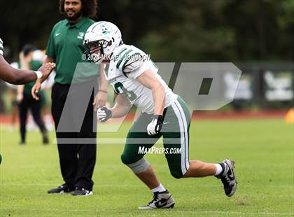 Thumbnail 2 in Tampa Catholic @ Trinity Catholic photogallery.