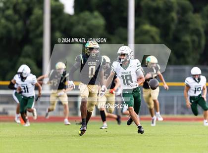 Thumbnail 2 in Tampa Catholic @ Trinity Catholic photogallery.