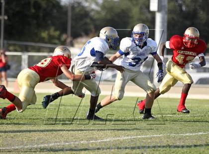 Thumbnail 3 in Clovis @ Centennial photogallery.