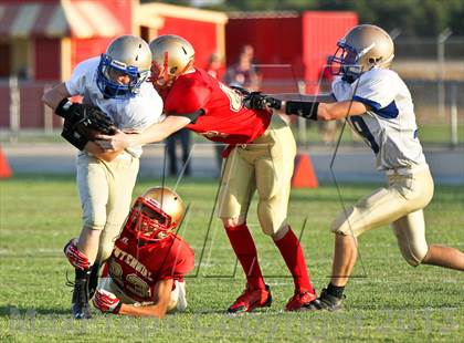 Thumbnail 1 in Clovis @ Centennial photogallery.