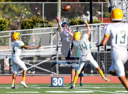 Thumbnail 1 in Live Oak @ Leland photogallery.