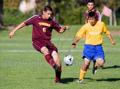 Thumbnail 2 in Los Banos @ Turlock photogallery.