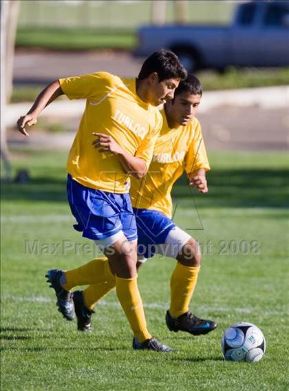 Thumbnail 2 in Los Banos @ Turlock photogallery.
