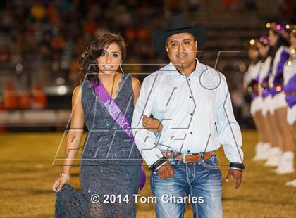 Thumbnail 1 in Kemp @ Farmersville photogallery.